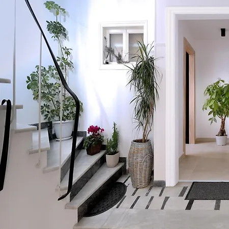 Fili's Spots * 沃洛斯